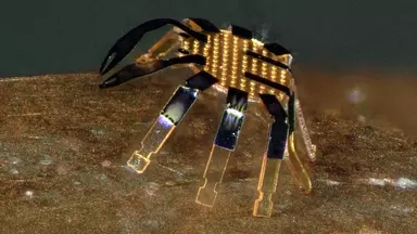 Northwestern University Robot