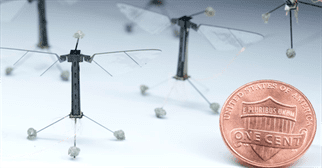 RoboBee from Harvard University